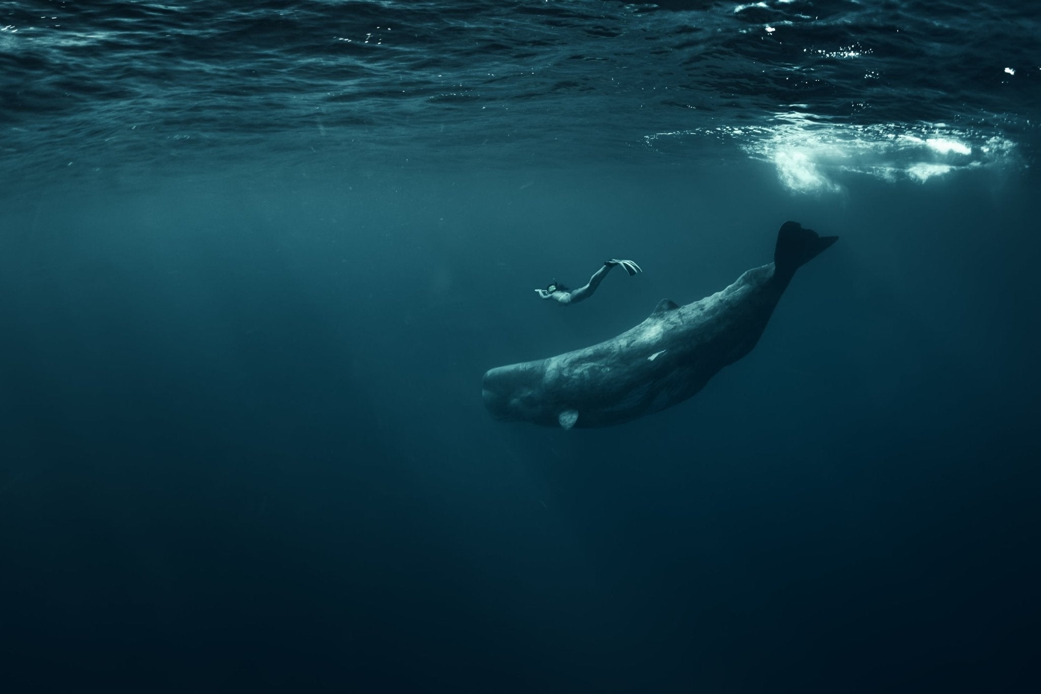 Earth Day, in the Age of Oceans and AI - Toward a Real Seatopia by 2050 - SEATOPIA