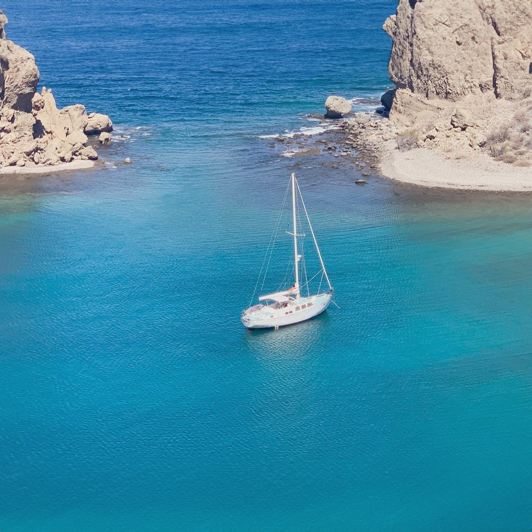 From Sailing to Sustainability:  A Seven-Chapter Odyssey to Regenerate Our Oceans - SEATOPIA