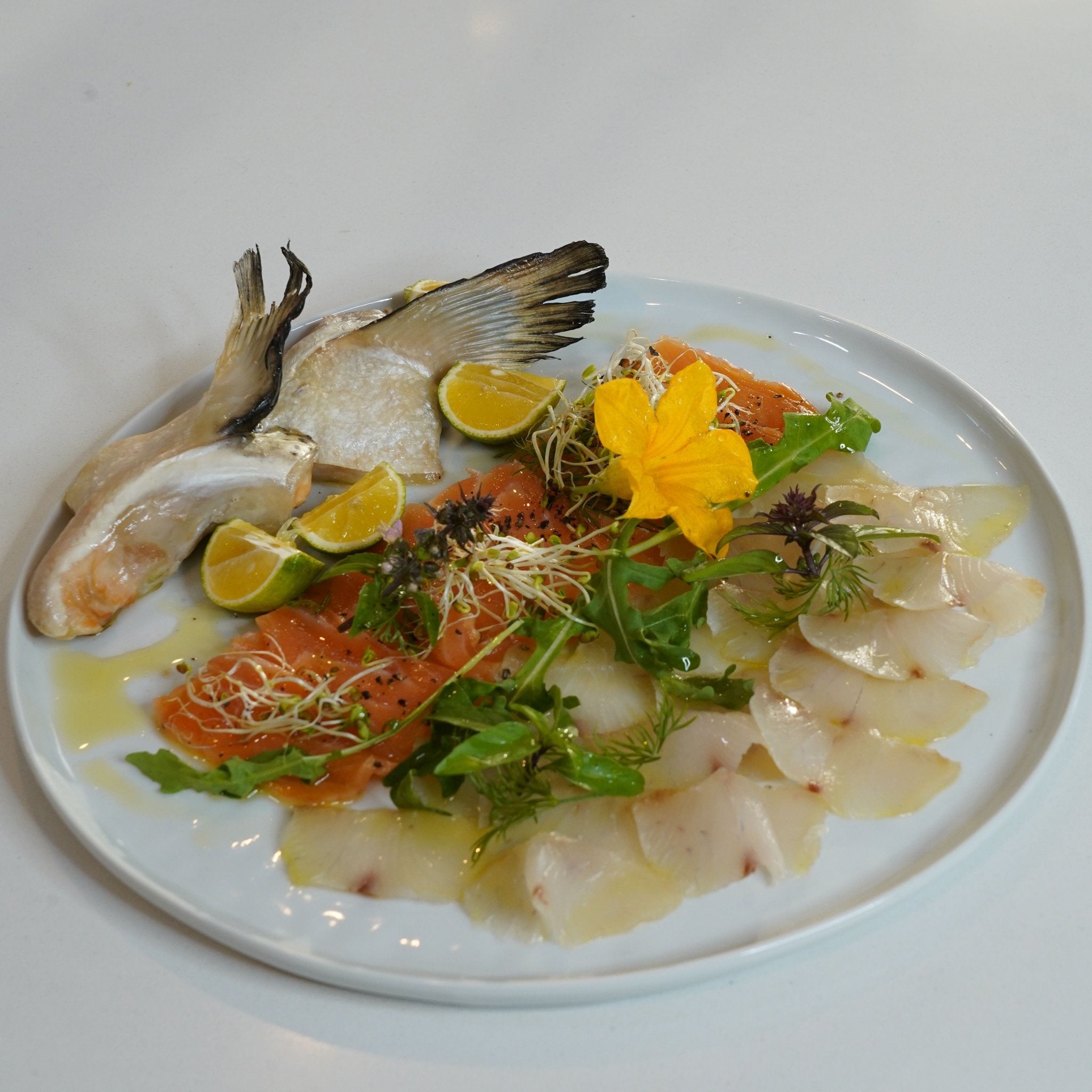 Quick Cured Salmon & Kanpachi Yellowtail - SEATOPIA