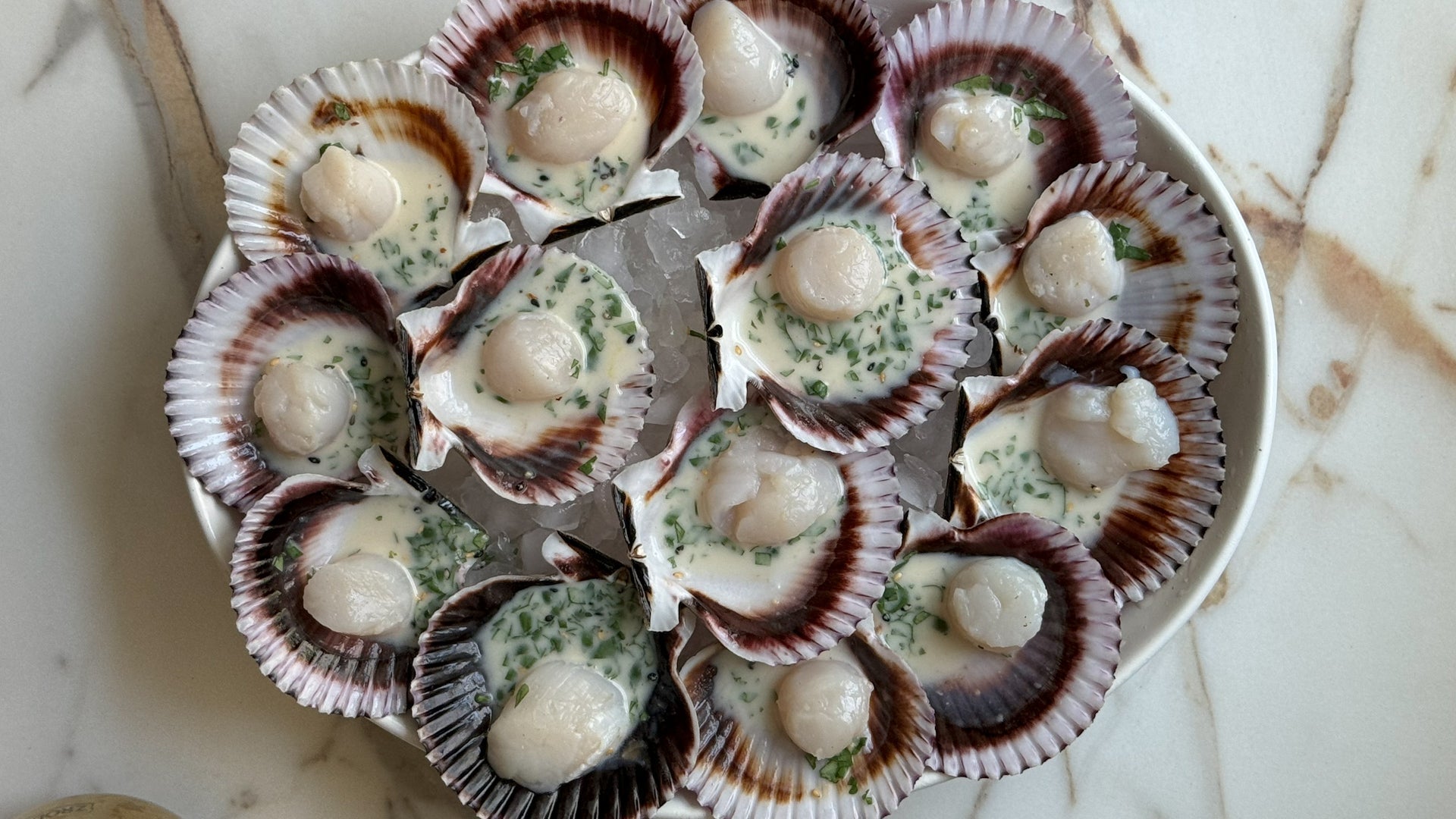 Seafood 201: Thai Coconut Citrus Crudo with Seatopia Peruvian Scallops - SEATOPIA