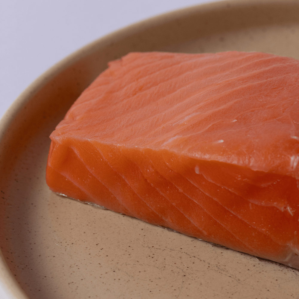 Alpine King Salmon - SEATOPIA