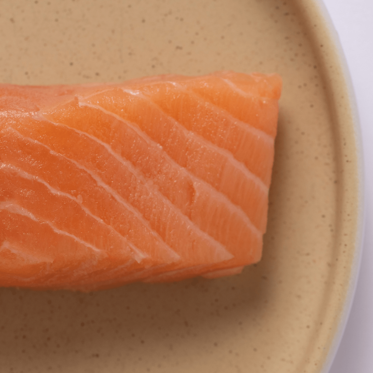 Atlantic Salmon - SEATOPIA