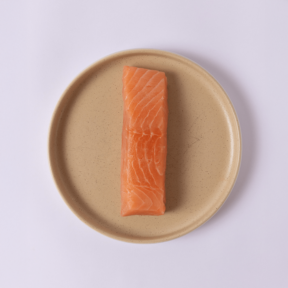 Atlantic Salmon - SEATOPIA