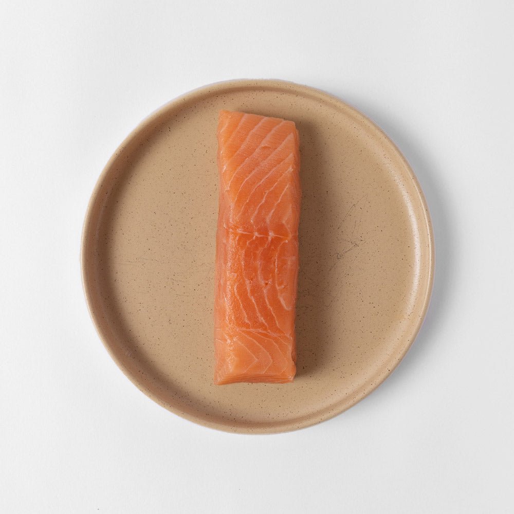 Atlantic Salmon - SEATOPIA