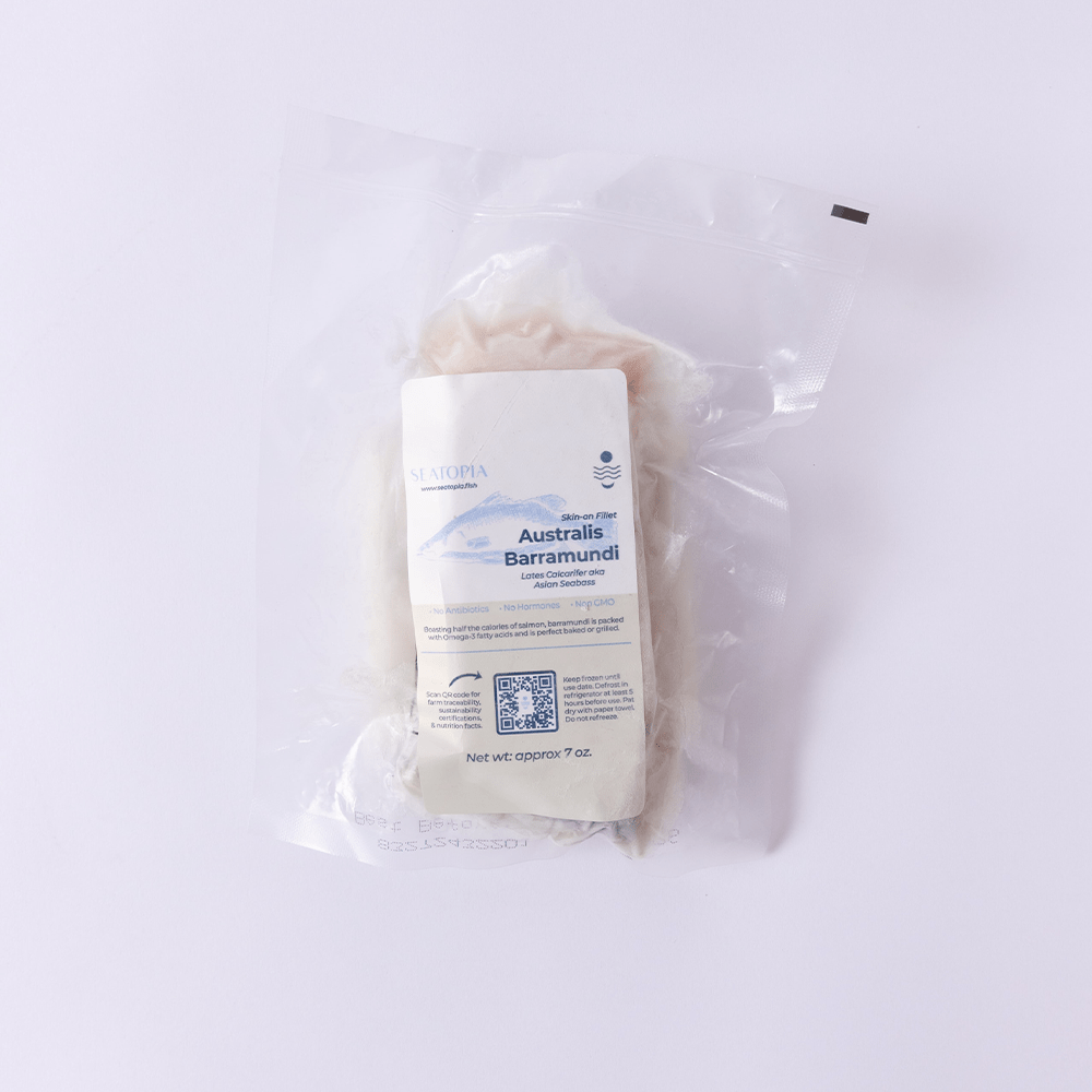 Barramundi - SEATOPIA