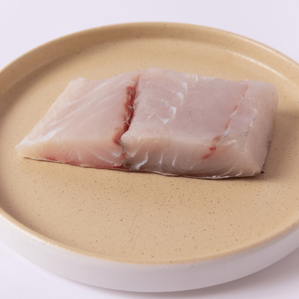 Barramundi - SEATOPIA