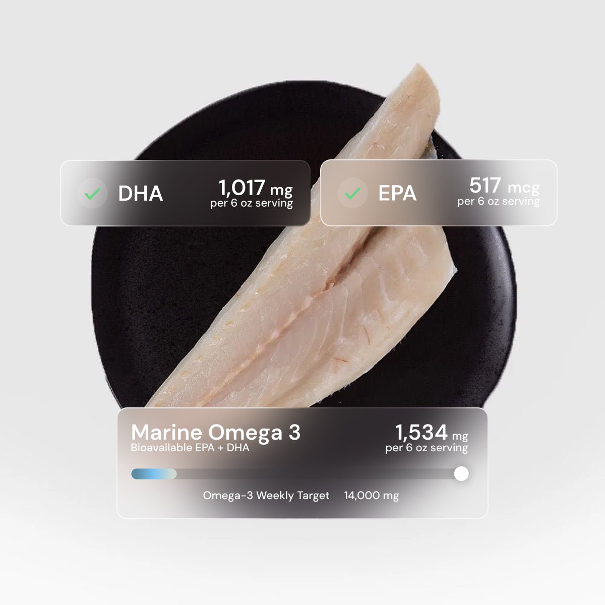 Branzino - SEATOPIA