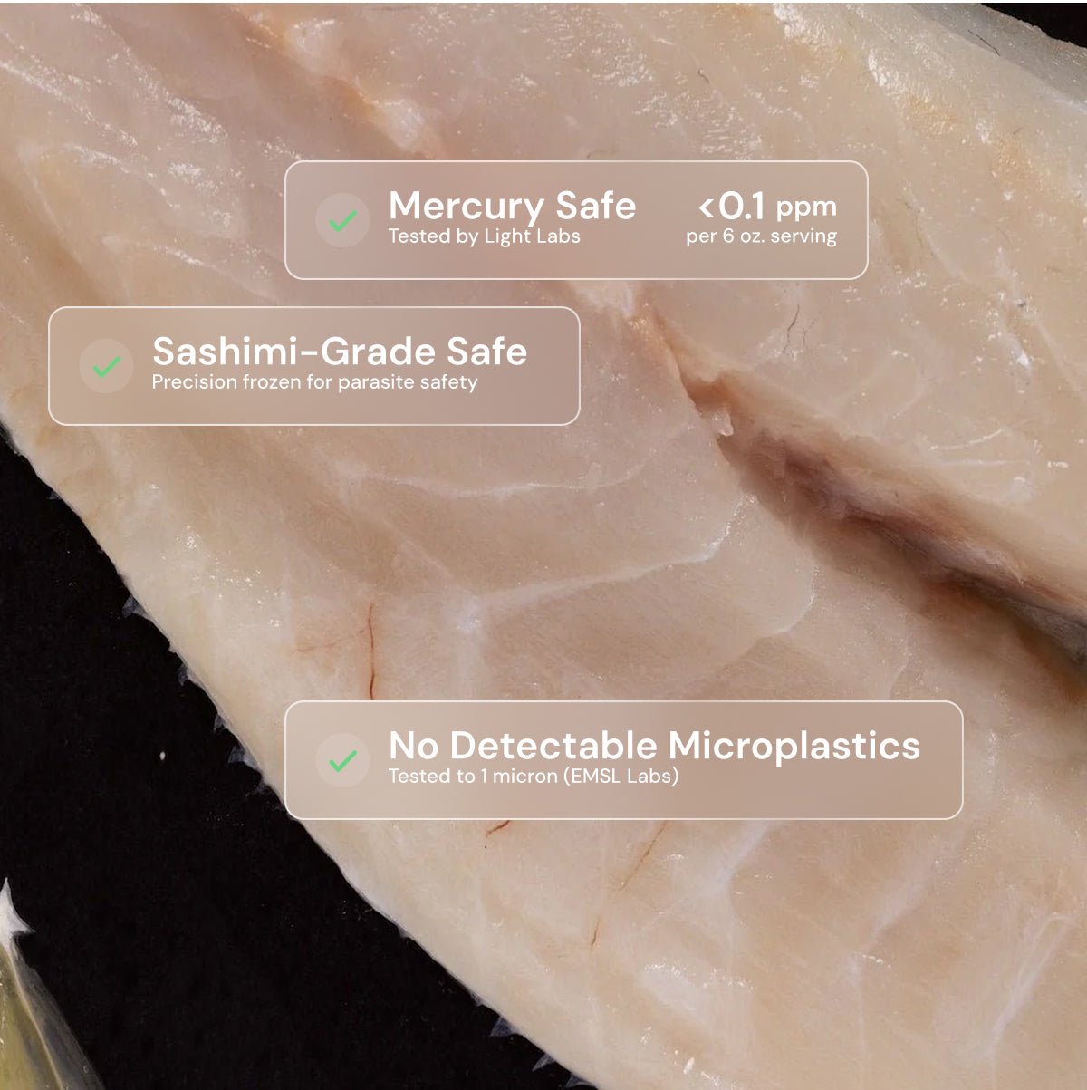 Branzino - SEATOPIA