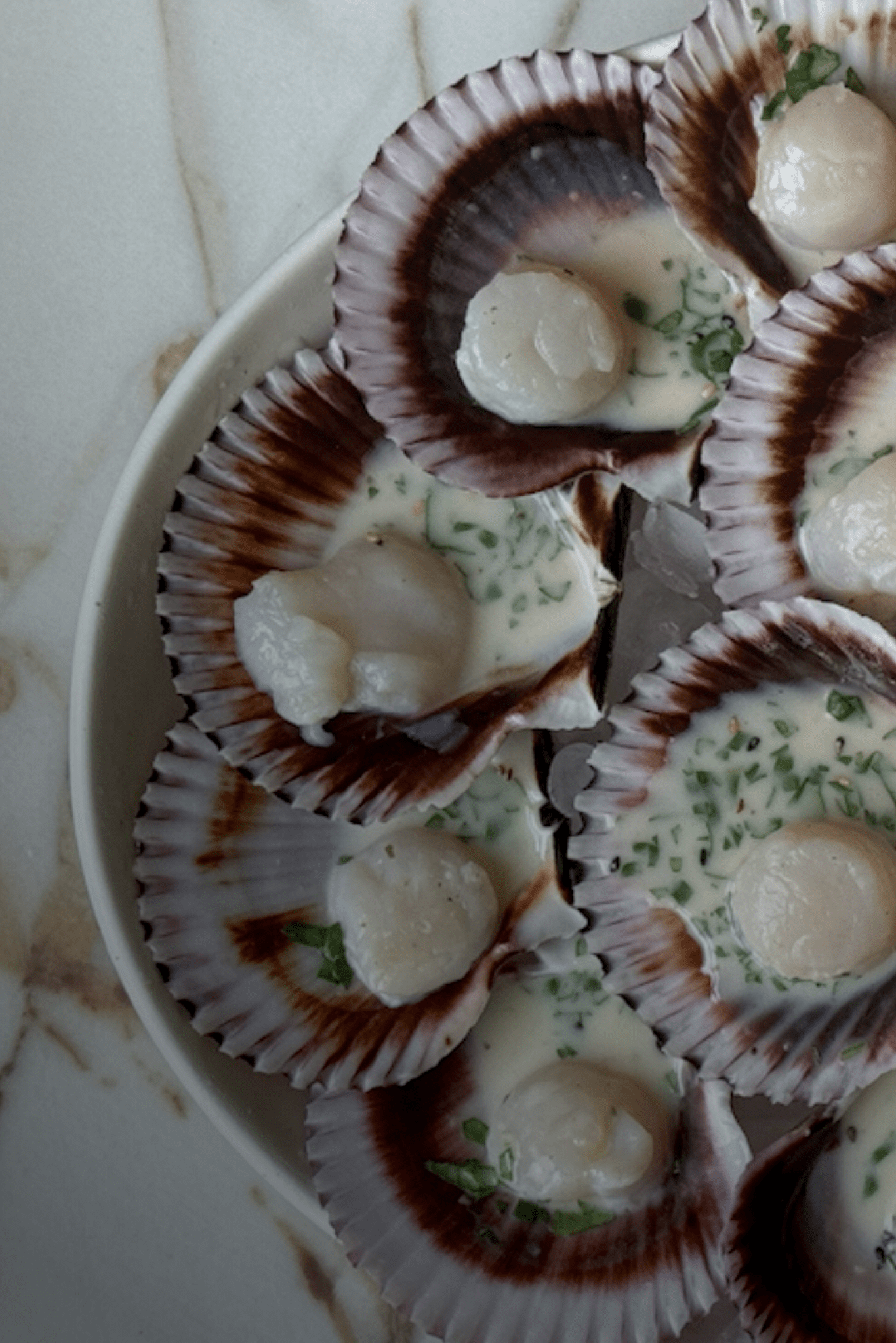 Clean Reset Detox Bundle - SEATOPIA