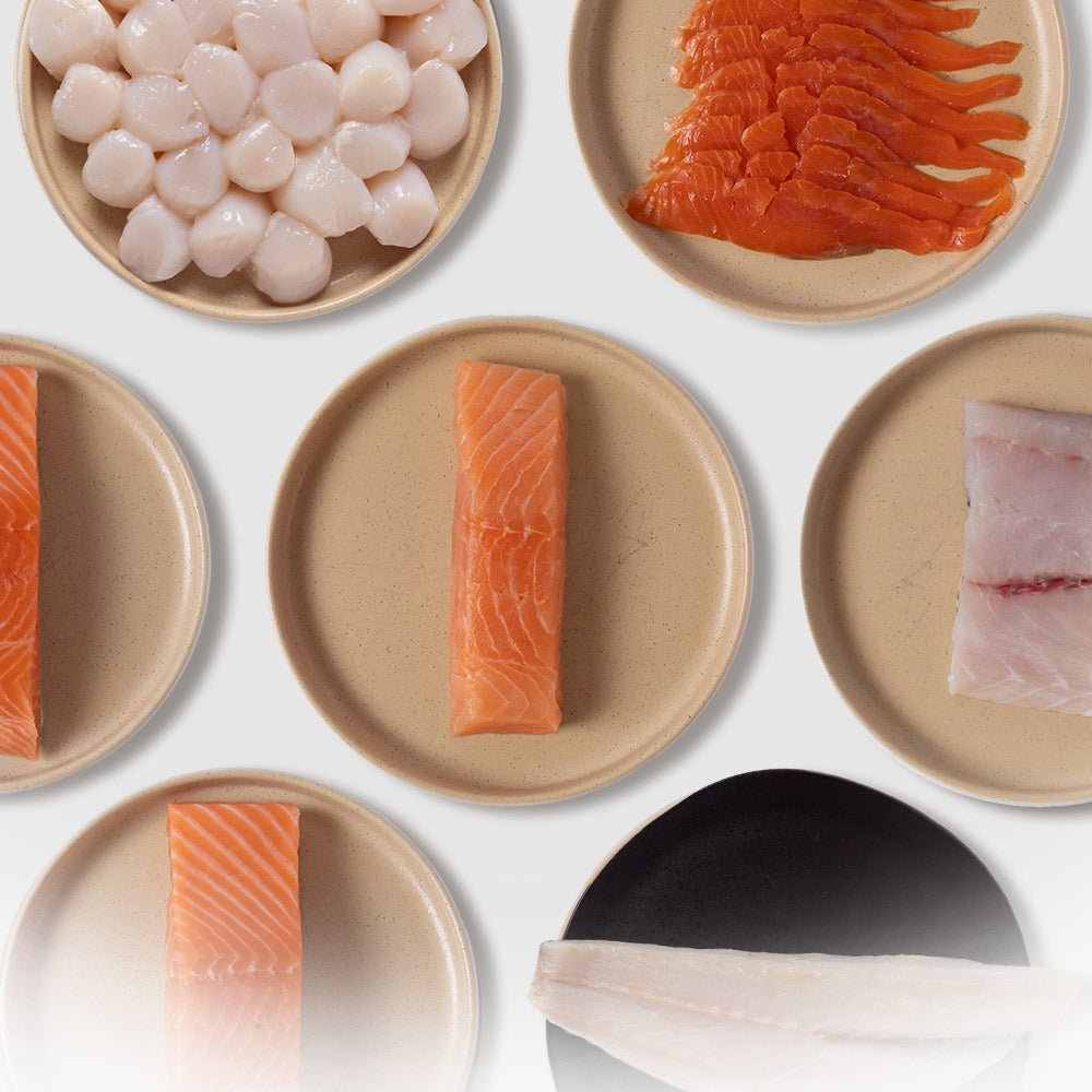 Fish & Shell Variety Box - SEATOPIA