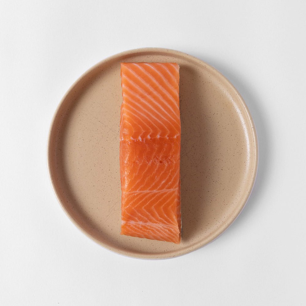 King Salmon - SEATOPIA