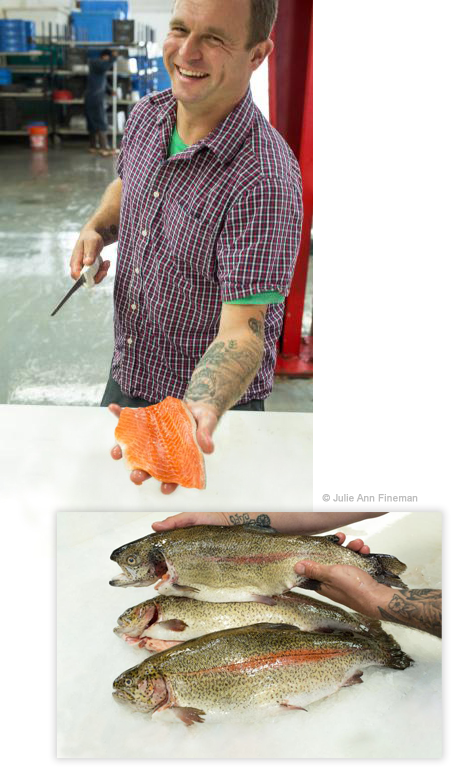 McFarland Springs, Trout Dogs