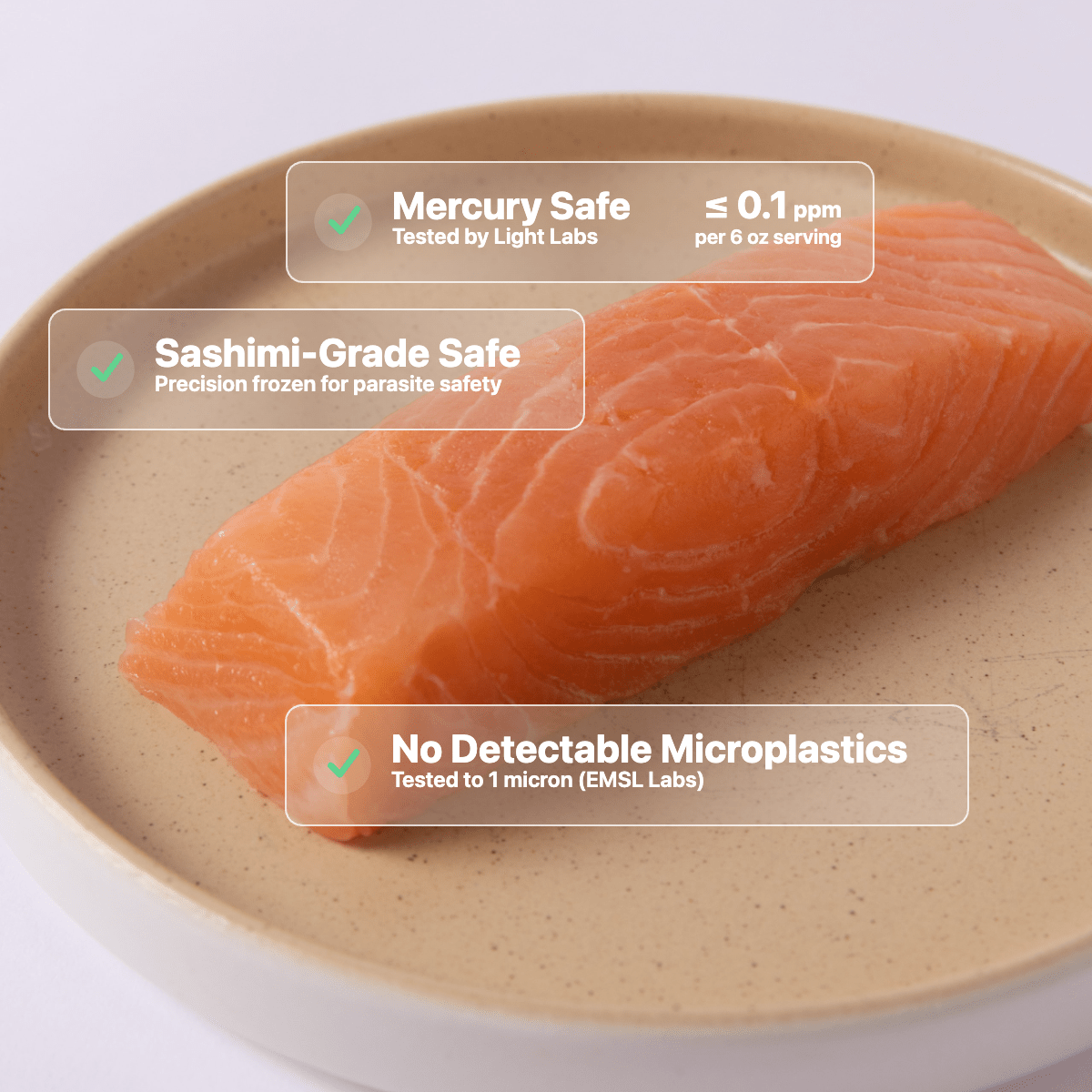 Salmon Lover's Box - SEATOPIA