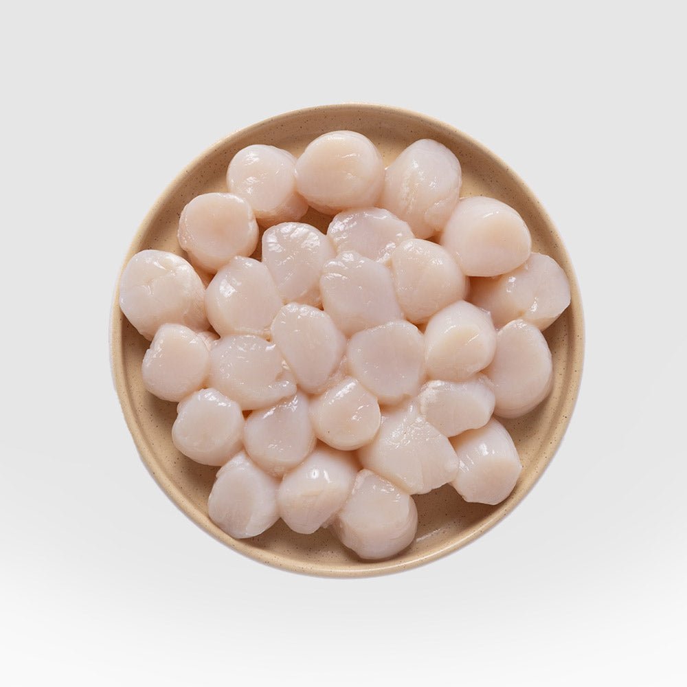 Scallop Meat - SEATOPIA