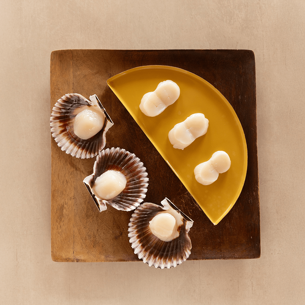 Scallop Meat - SEATOPIA