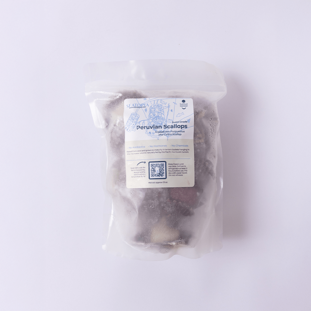 Scallops - SEATOPIA