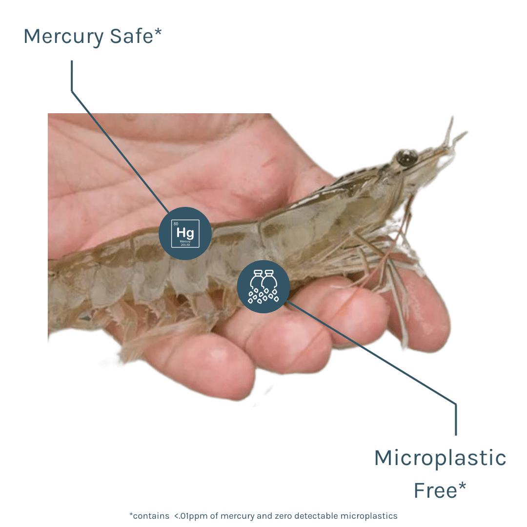 Shrimp (12oz bags) - SEATOPIA