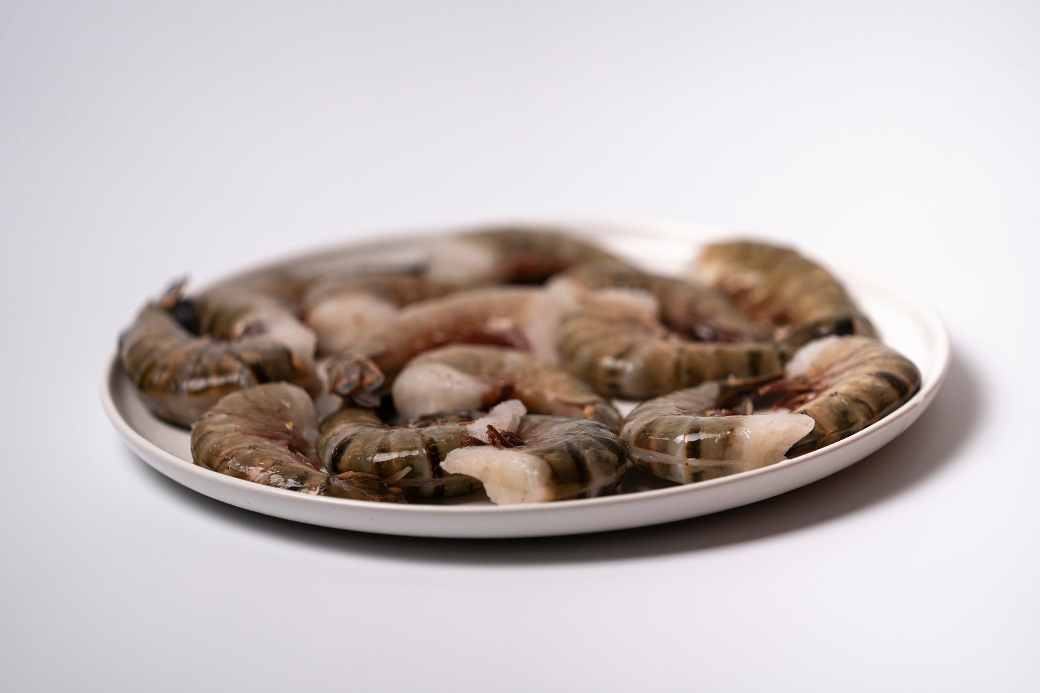 Mangrove Black Tiger Shrimp