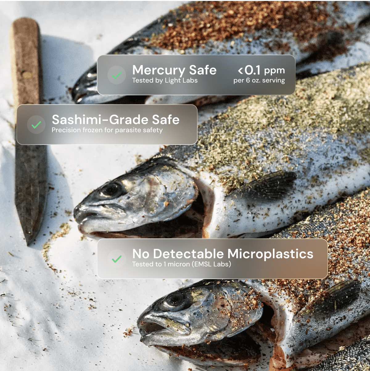 Whole Trout - SEATOPIA