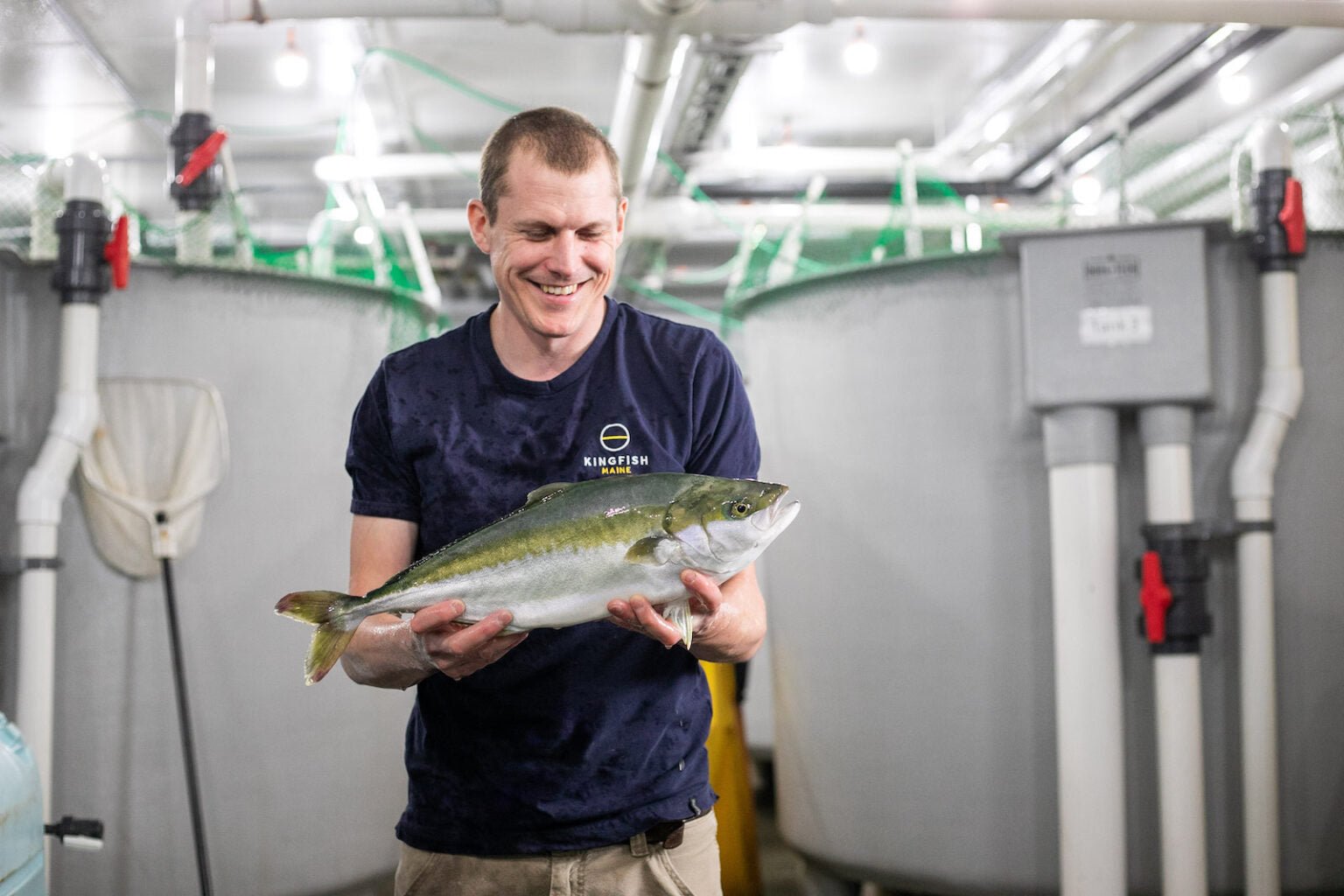 Dutch YellowTail Filets (2 ~5oz skin-off portions) - SEATOPIA