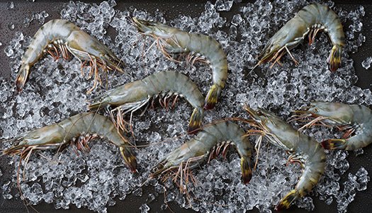Restorative Black Tiger Shrimp (U6-8 Easy-Peel, 12 oz) - SEATOPIA