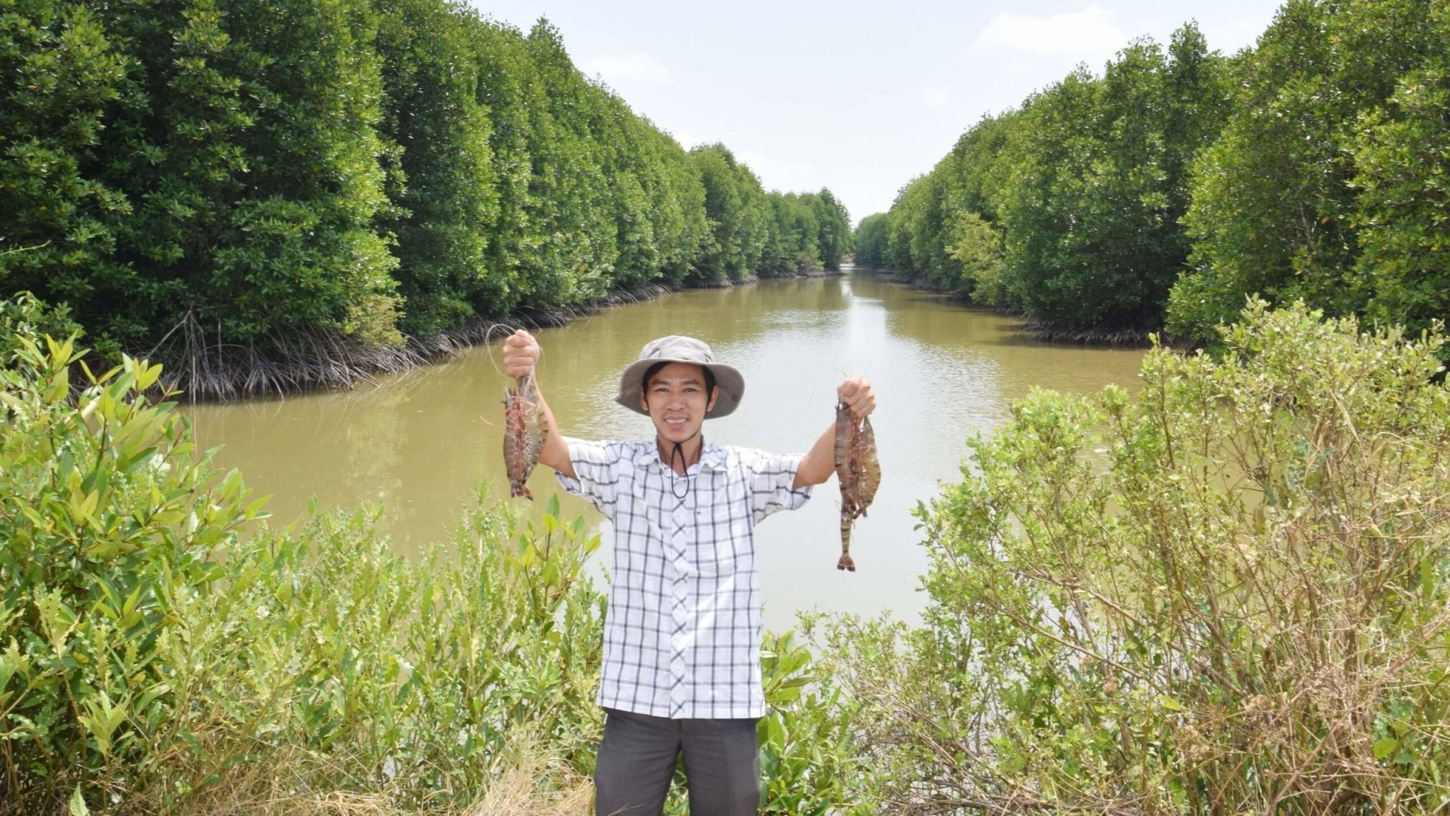 Restorative Black Tiger Shrimp (U6-8 Easy-Peel, 12 oz) - SEATOPIA