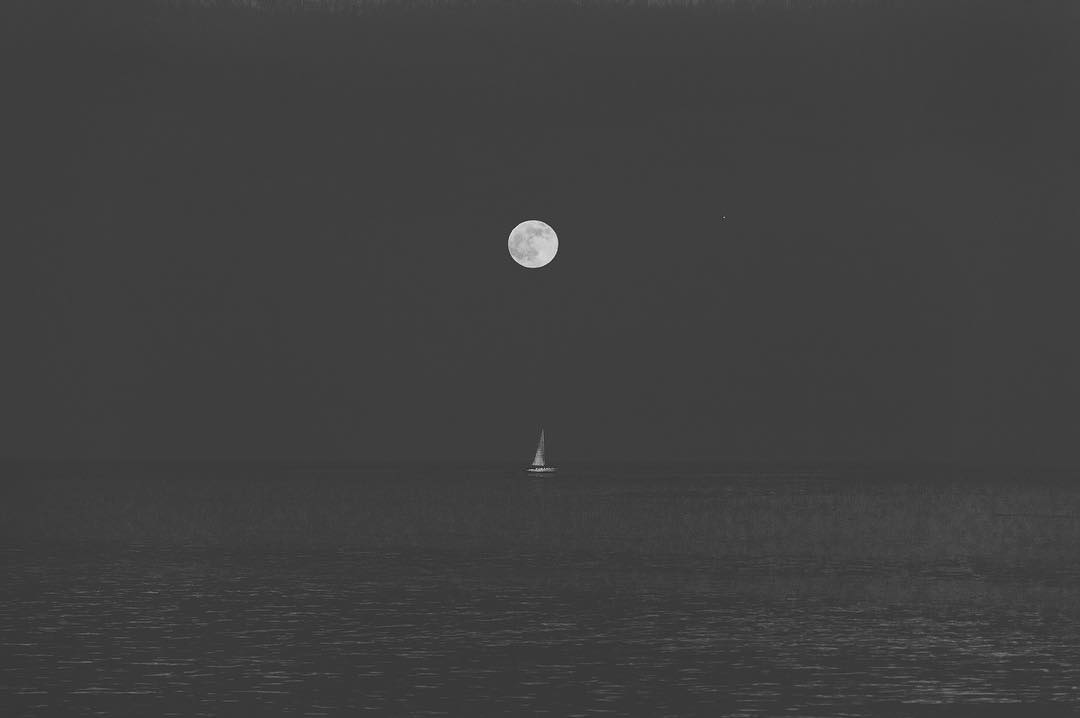 61 Full Moons to 2030: Protecting Our Oceans with the 30x30 Campaign - SEATOPIA