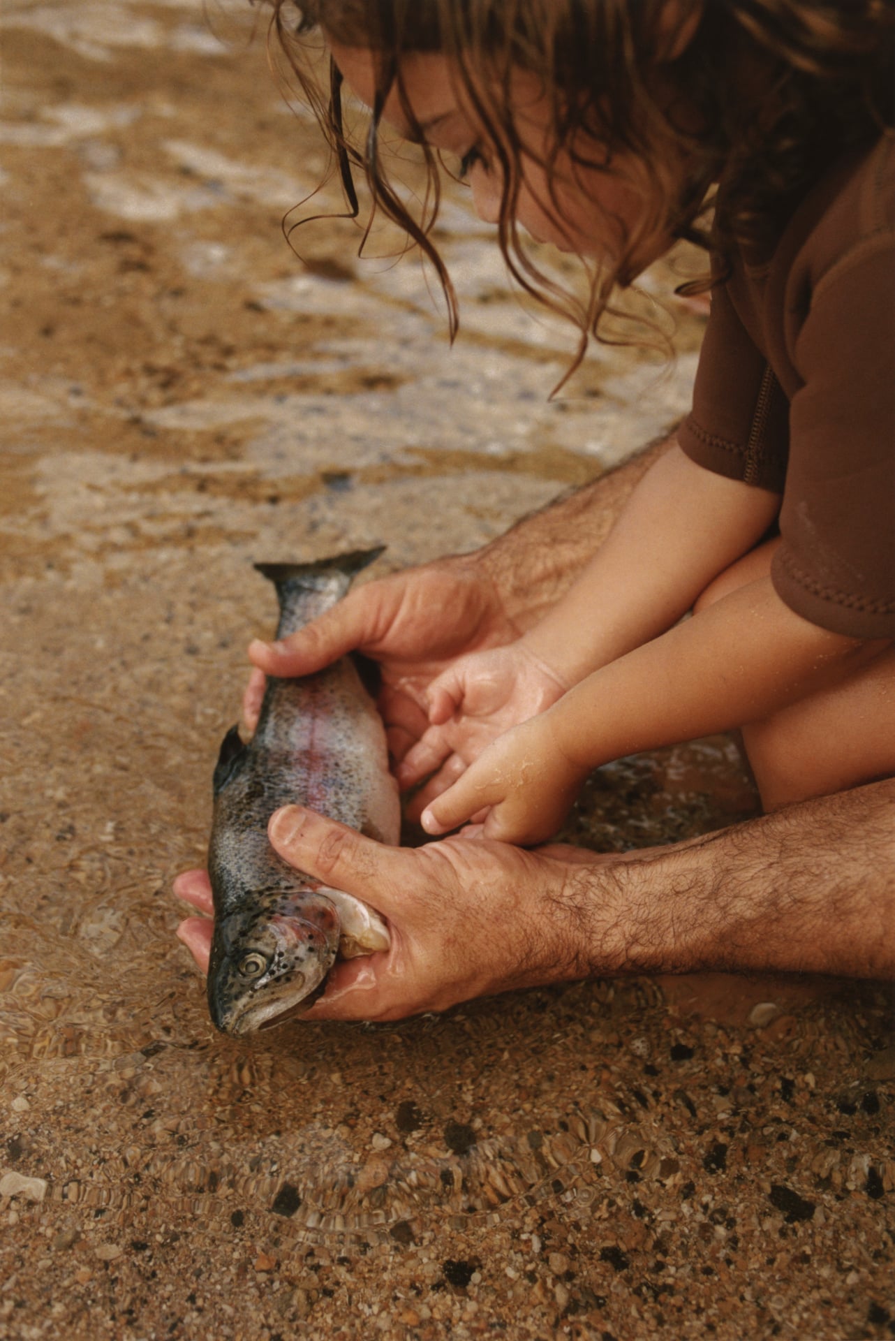 Seatopia Standard - Sourcing Frameworks for Clean Regenerative Seafood