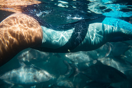 Are We Still Mermaids? Embracing Our Aquatic Roots for Modern Health - SEATOPIA