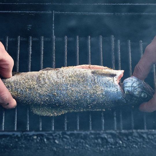 Grilled Whole Rainbow Trout - SEATOPIA