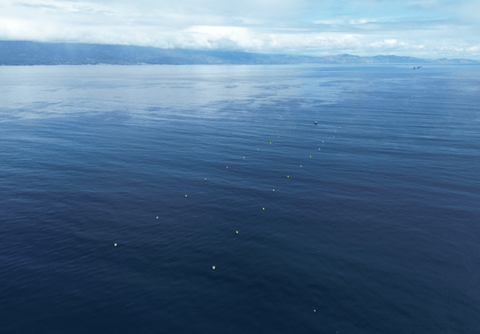 Ocean Rainforest’s Offshore Kelp Farm in Southern California - SEATOPIA