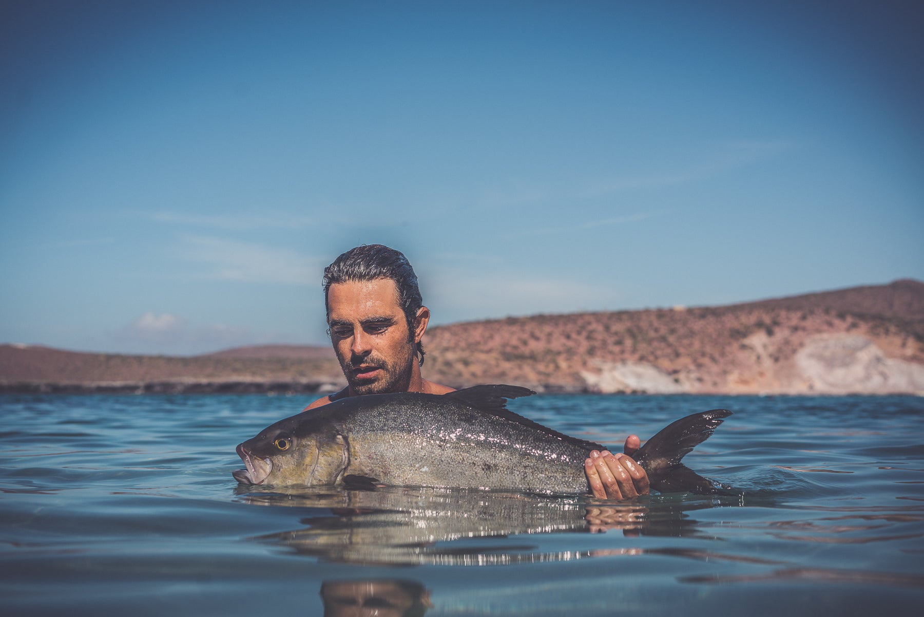 Fish Internal Temperature Guide: Safe & Delicious Cooking Temps ...