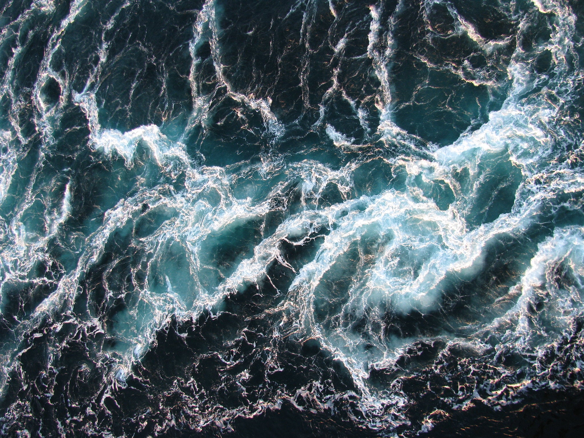 Sustainable Seafood in support of Ocean Conservation projects with 1% of sales reinvested 
