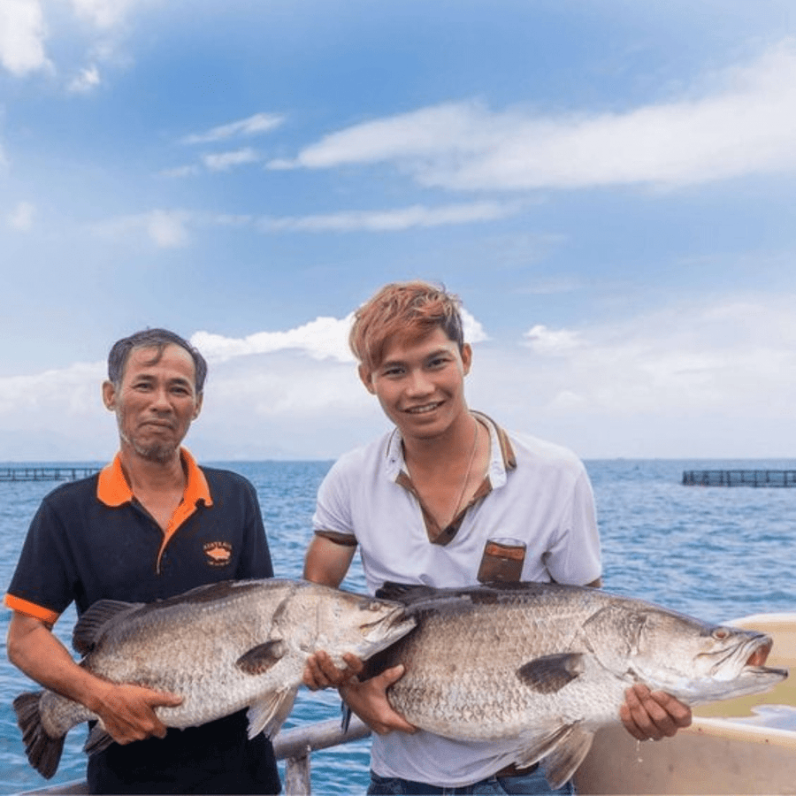 Australis, Barramundi (6oz) - SEATOPIA