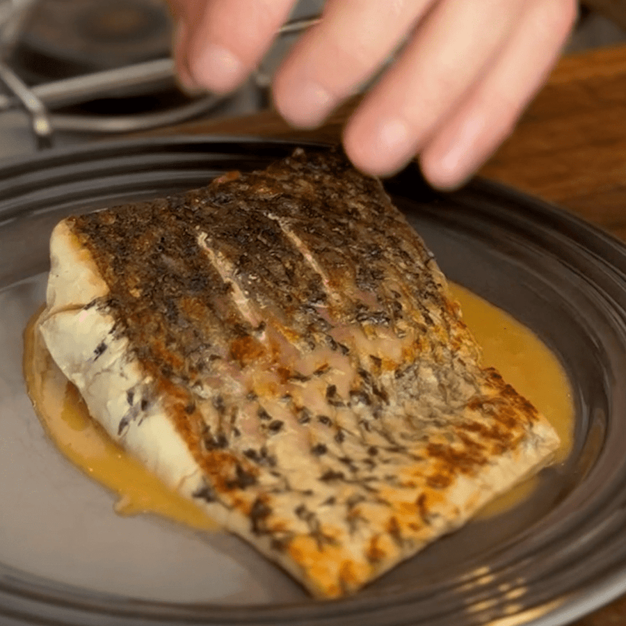 Barramundi (6oz filets) - SEATOPIA