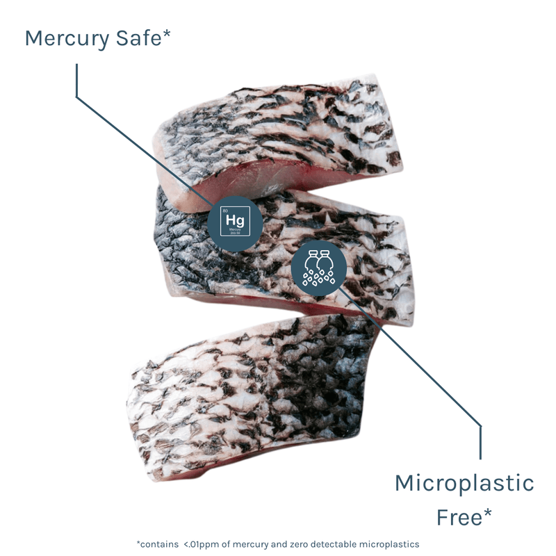 Barramundi (6oz filets) - SEATOPIA