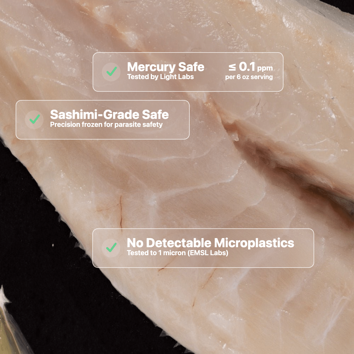 Branzino - SEATOPIA