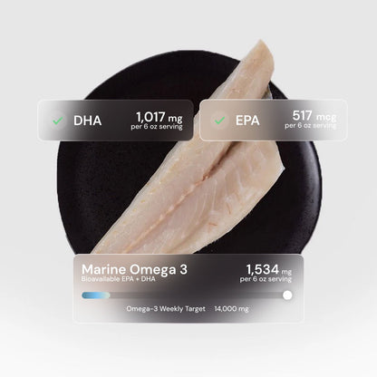 Branzino - SEATOPIA