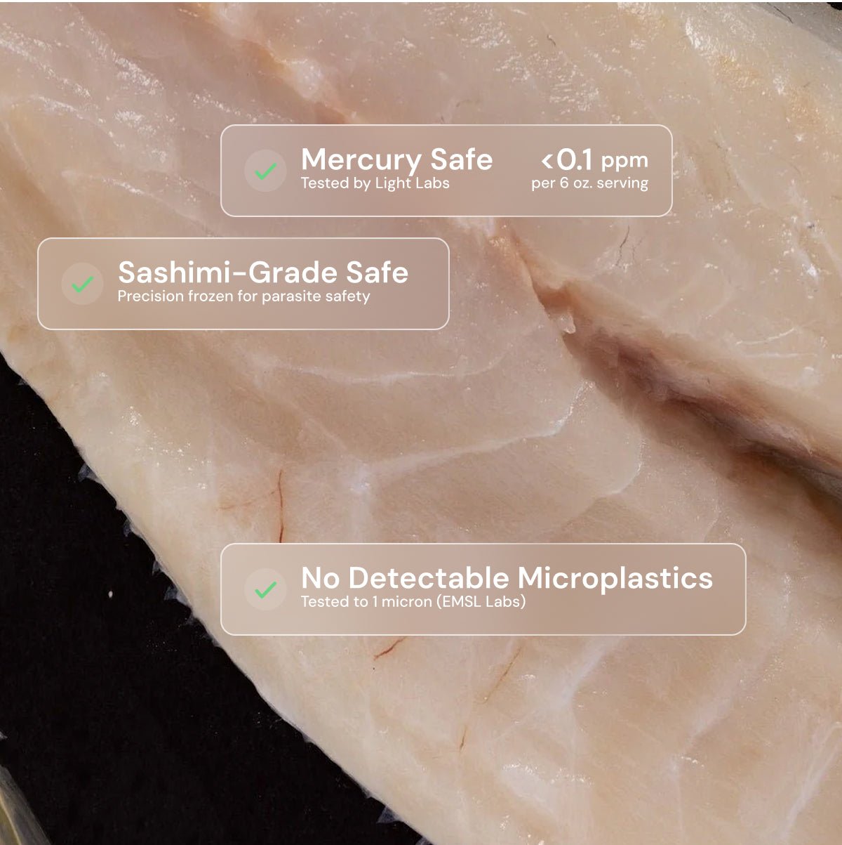 Branzino - SEATOPIA