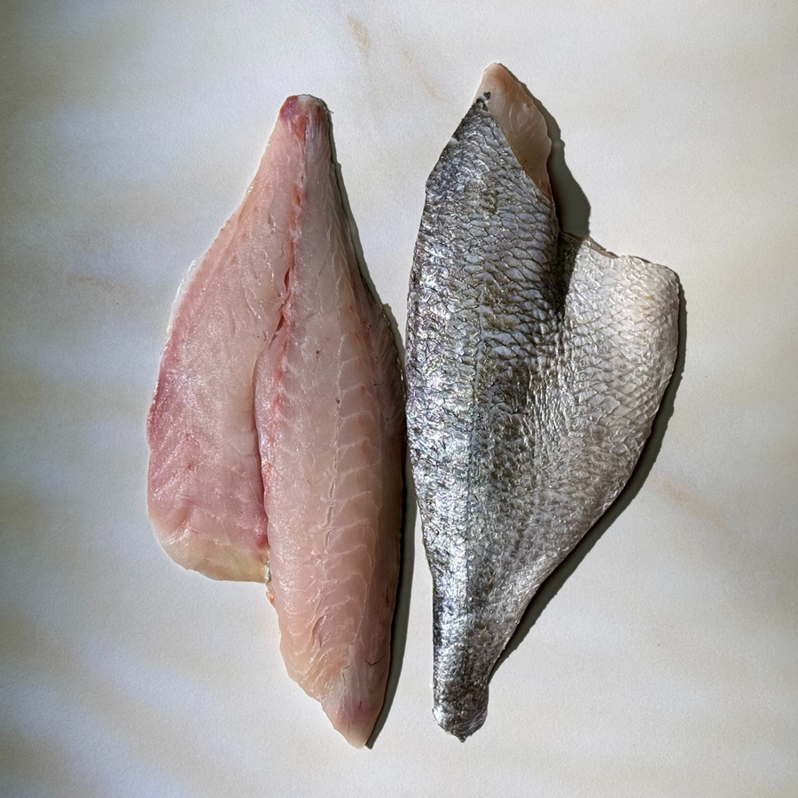 Sea Bream (6oz) - Esteros Lubimar