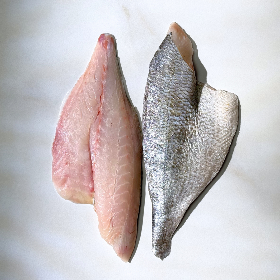 Sea Bream (6oz) - Esteros Lubimar