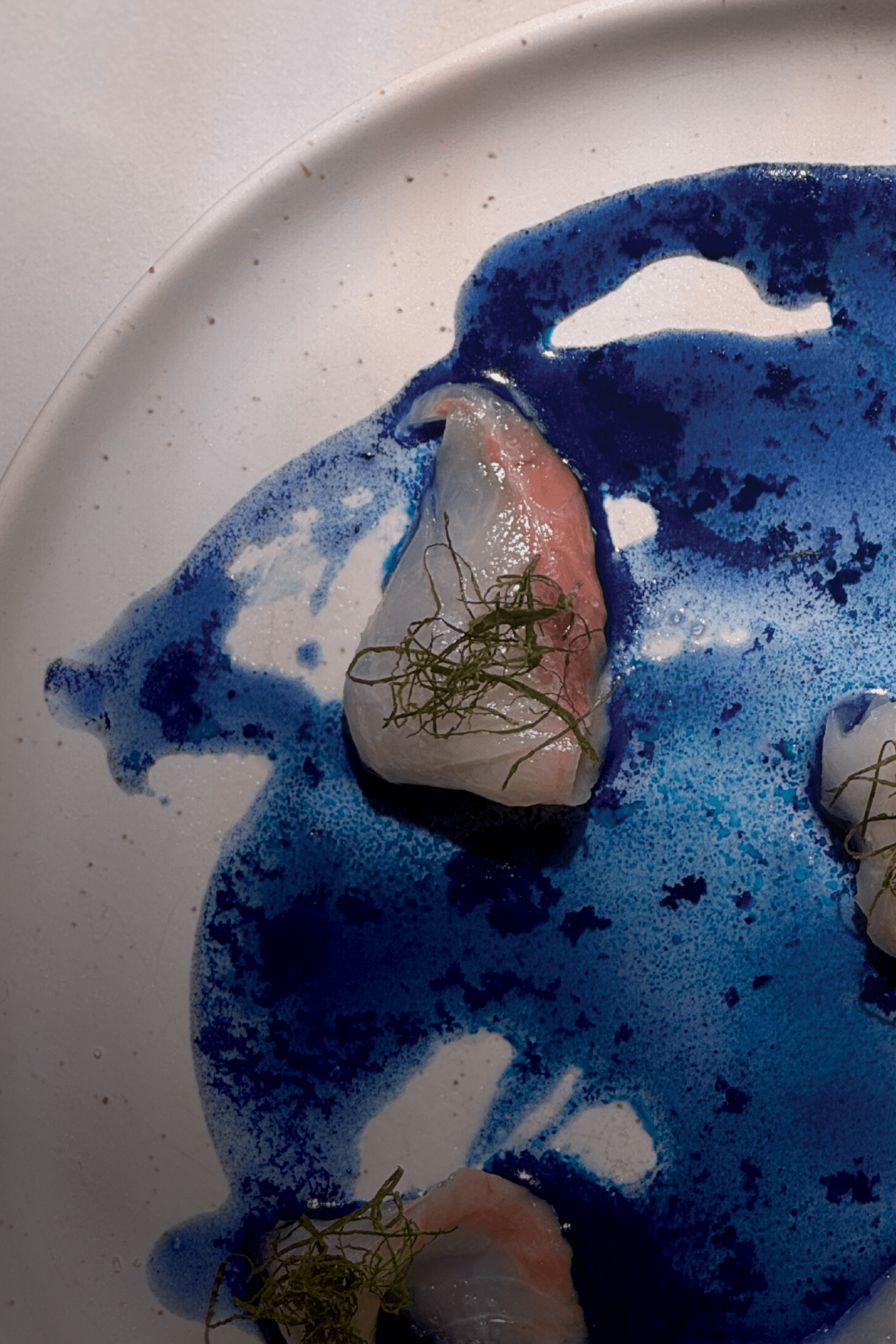 Clean Reset Detox Bundle - SEATOPIA