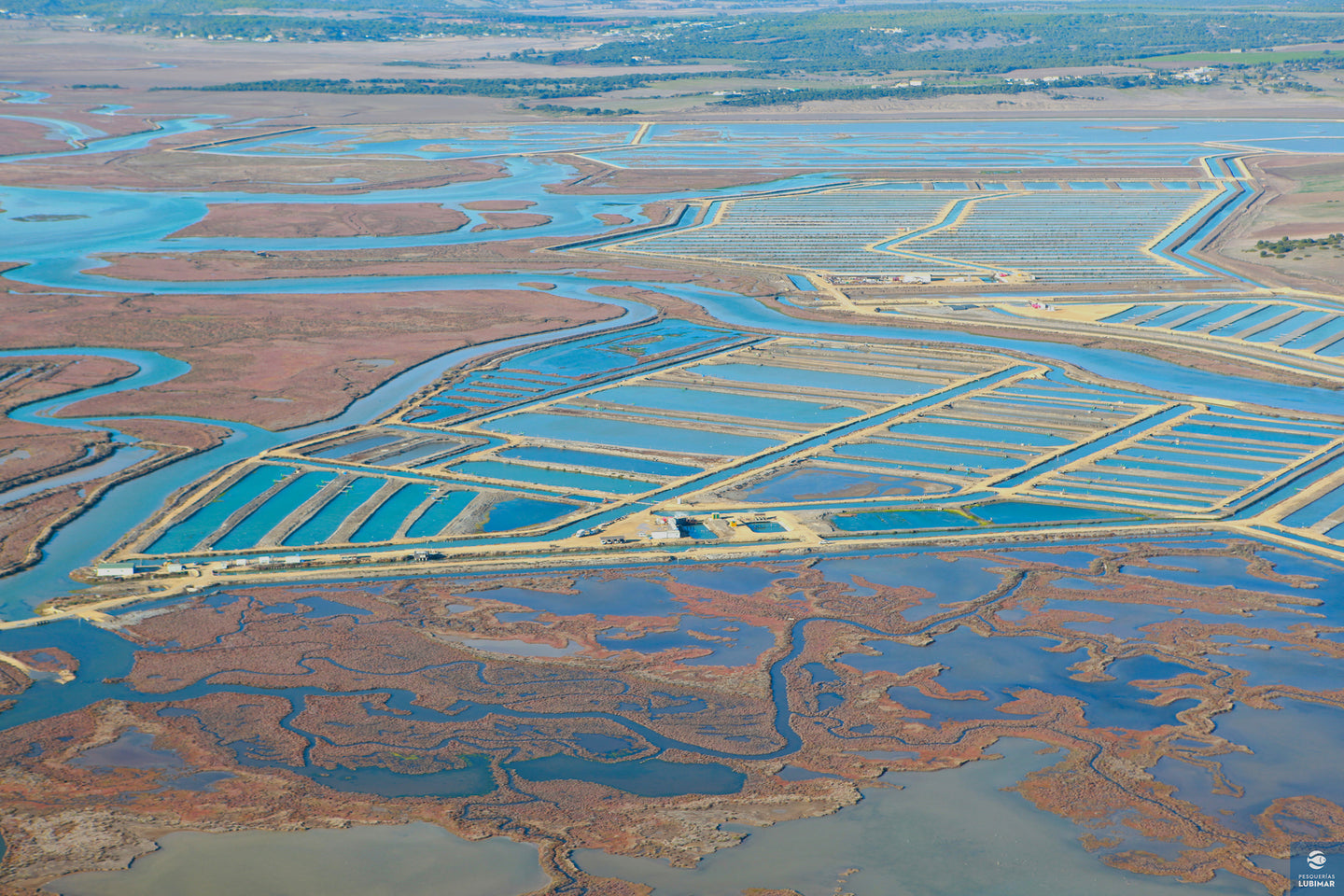 Glimpse into Nature-Driven Aquaculture