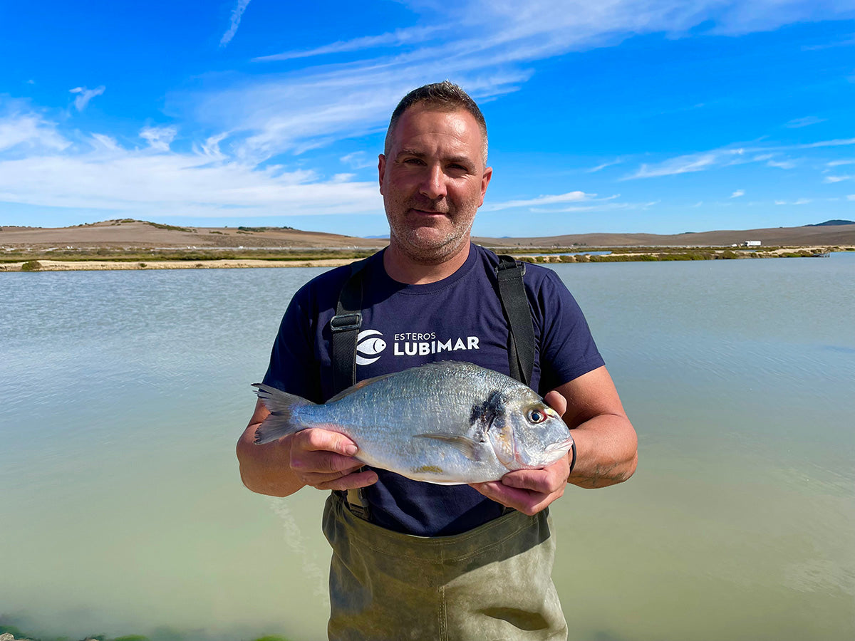 Esteros Lubimar Regenerative Sea Bream Aquaculture