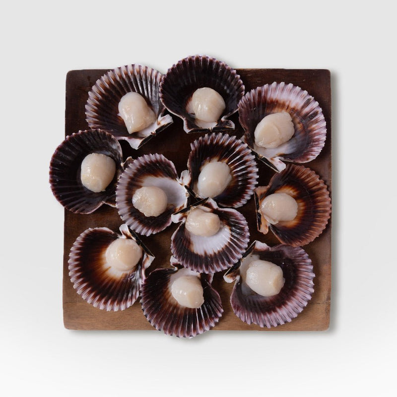 12 Servings: Fish & Shellfish Variety Box – SEATOPIA