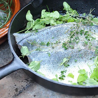 Gumusdoga Branzino (6oz Filet) - SEATOPIA