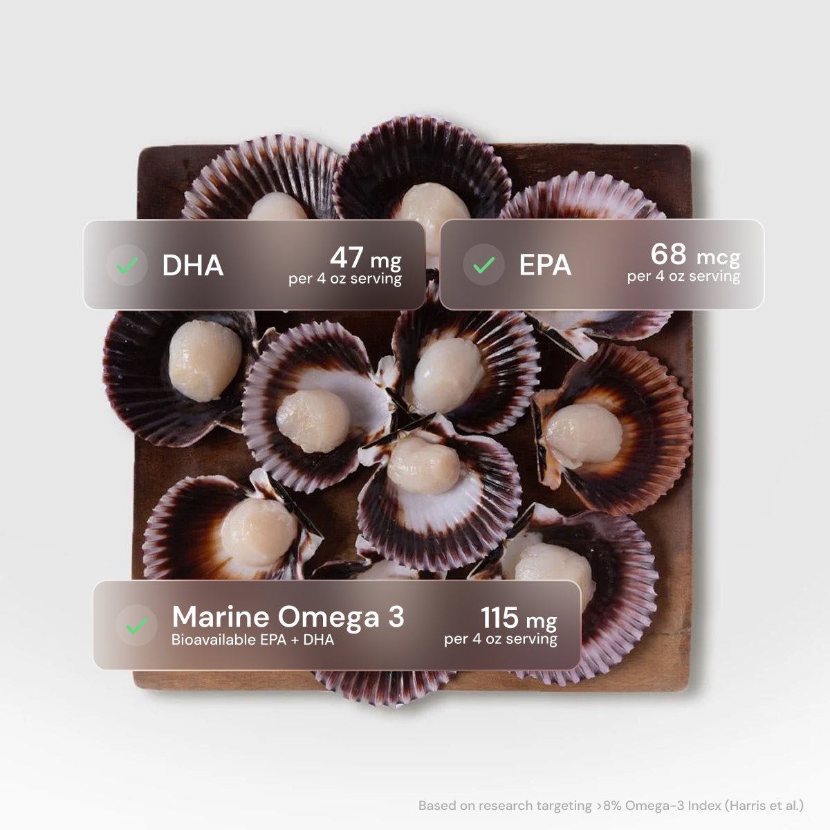 Half-Shell Scallops - SEATOPIA
