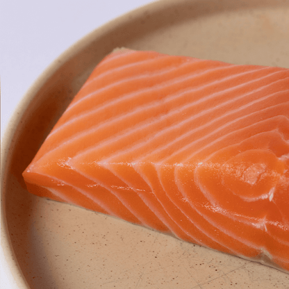 King Salmon - SEATOPIA