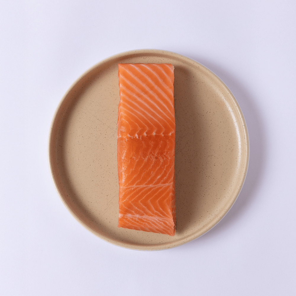King Salmon - SEATOPIA