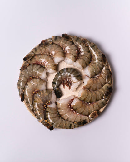 Mangrove Black Tiger Shrimp - SEATOPIA